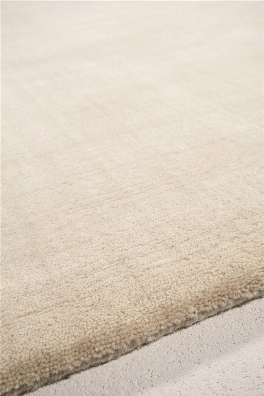 Warm Beige